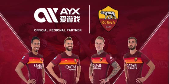 整个国家的